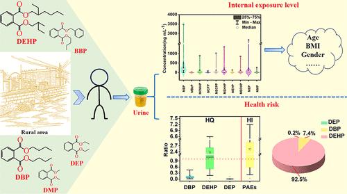 Current Phthalate Exposure Risks of Rural Population in the Northwest China: Evidence from an Internal Exposure Study