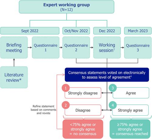 Outpatient management of prolonged seizures and seizure clusters to prevent progression to a higher-level emergency: Consensus recommendations of an expert working group