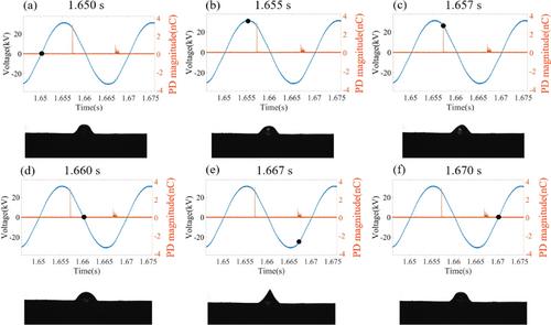 Degradation of superhydrophobic aluminium overhead line conductor surfaces