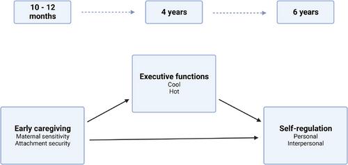 A challenge to the expected: Lack of longitudinal associations between the early caregiving environment, executive functions in toddlerhood, and self-regulation at 6 years