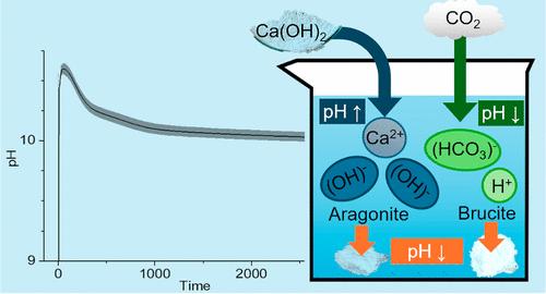 Chemical Aspect of Ocean Liming for CO2 Removal: Dissolution Kinetics of Calcium Hydroxide in Seawater