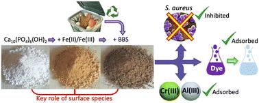 Insights into performances of magnetic and bio-based doped-nanohydroxyapatites as water decontamination agents