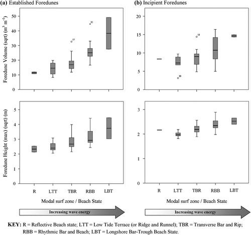 Foredune morphology: Regional patterns and surfzone–beach–dune interactions along the New South Wales coast, Australia