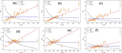 Size-dependent asymmetry of barchans indicates dune growth controlled by basal area or bulk volume