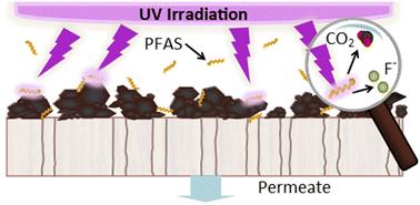 Emerging investigator series: photocatalytic treatment of PFAS in a single-step ultrafiltration membrane reactor†