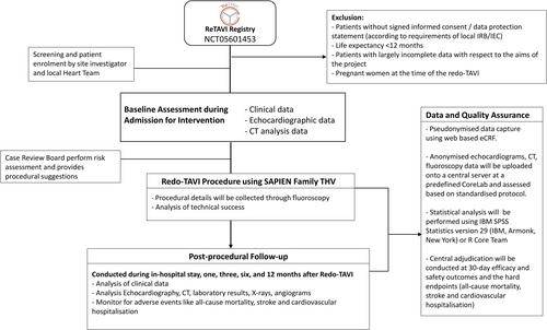 Procedural and clinical outcomes of patients undergoing a TAVI in TAVI procedure: Rationale and design of the multicentre, prospective, observational ReTAVI registry