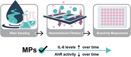 Assessing bioactivity of environmental water samples filtered using nanomembrane technology and mammalian cell lines