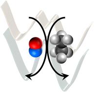 Bimolecular collision outcomes on multidimensional potential energy surfaces: infrared spectroscopy and activation of NO–alkane collision complexes