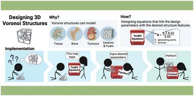 Two conjectures on 3D Voronoi structures: a toolkit with biomedical case studies