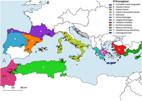 An expanded phylogeny of the genus Pseudamnicola (Gastropoda; Truncatelloidea; Hydrobiidae) across the Mediterranean Basin