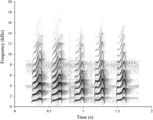 Location and caller familiarity influence mobbing behaviour and the likely ecological impact of noisy miners around colony edges