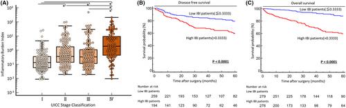 Inflammatory Burden Index as a promising new marker for predicting surgical and oncological outcomes in colorectal cancer