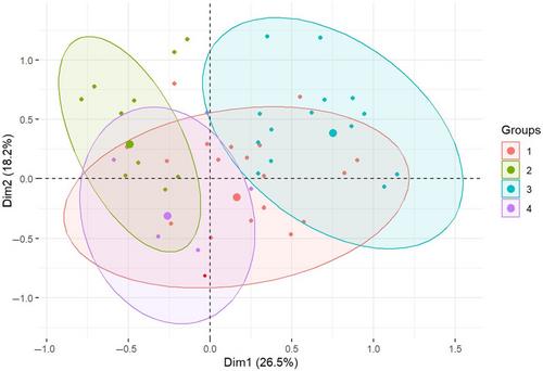 Phenotypes of maternal vascular malperfusion placental pathology and adverse pregnancy outcomes: A retrospective cohort study