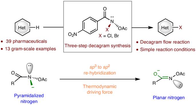 Discovery of N–X anomeric amides as electrophilic halogenation reagents