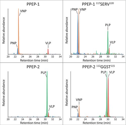 Non-prime- and prime-side profiling of Pro-Pro endopeptidase specificity using synthetic combinatorial peptide libraries and mass spectrometry