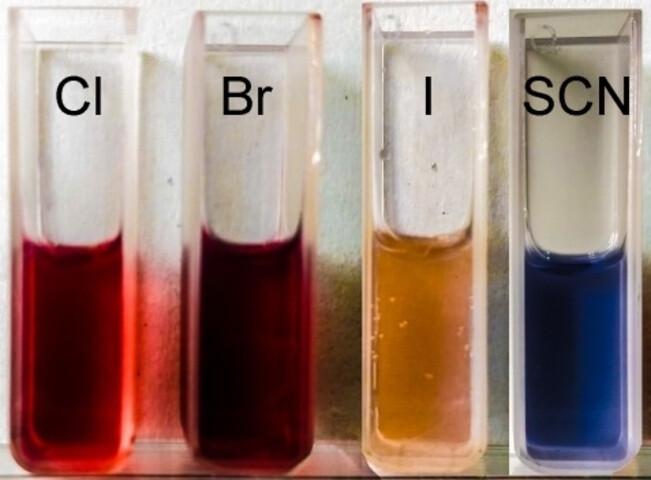 One-Pot Synthesis of Gold Nanoparticles and Aluminum Hydroxide Hydrogels-Based Nanocomposites with Modulated Optical Properties