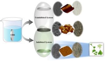 Synergistic inhibition of Mikania micrantha extract with iodide ion on the corrosion of cold rolled steel in trichloroacetic acid medium