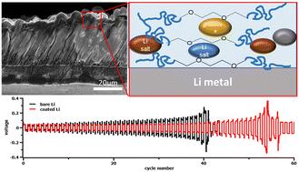 Ex situ poly-DOL coatings for lithium metal protection†