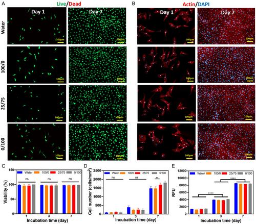 Engineering Tough and Elastic Polyvinyl Alcohol-Based Hydrogel with Antimicrobial Properties