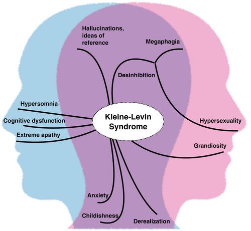 Back to the future: May Kleine-Levin syndrome be an emerging psychiatric disorder?