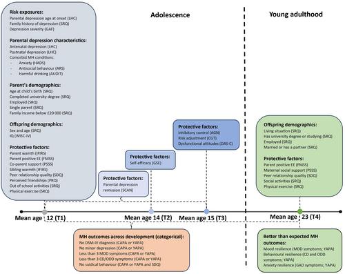 Modifiable protective factors for mental health resilience in the offspring of depressed parents: A high-risk longitudinal cohort spanning adolescence and adulthood