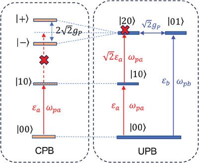 Photon Blockade in Cavity Optomechanics Via Parametric Amplification