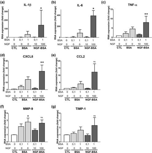 Effects of the nerve growth factor and its carrier protein on the inflammatory response from human monocytes