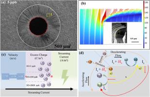 Effects of dissolved oxygen on the corrosion-related unidentified deposit formed of 304 SS in the flow accelerated zone under the simulated secondary water chemistry