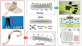 Perspective on the development and application of ionic polymer metal composites: from actuators to multifunctional sensors