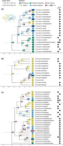 Timing and direction of faunal exchange between the Nearctic and the Palaearctic in Odonata