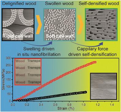 Lightweight, Strong, and Transparent Wood Films Produced by Capillary Driven Self-Densification