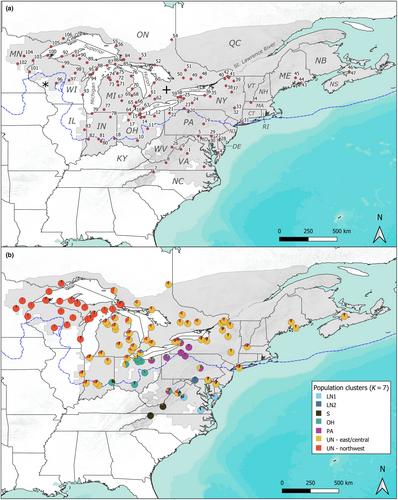 Traversing the Great Lakes: Post-glacial colonization by a widespread terrestrial salamander