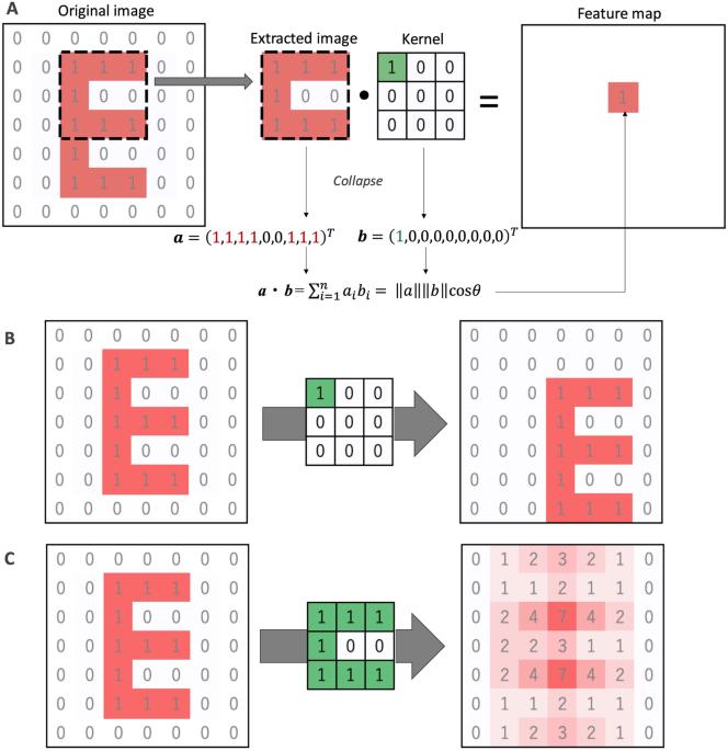 Fundamentals for predicting transcriptional regulations from DNA sequence patterns