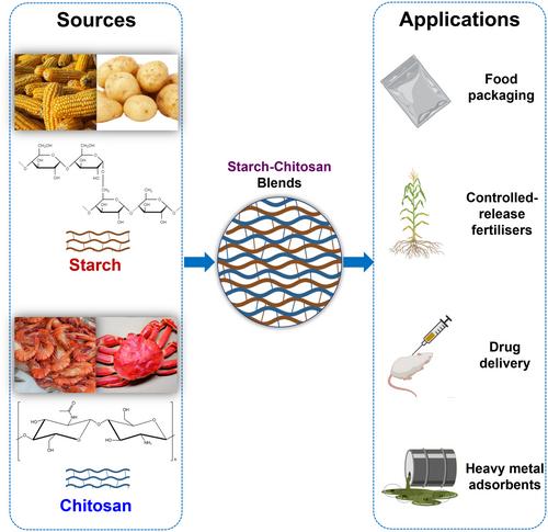 Starch-chitosan blends: A comprehensive review on the preparation, physicochemical properties and applications