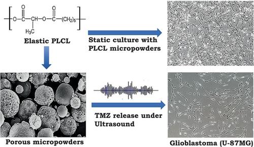 Fabrication of porous poly(L-lactide-co-ε-caprolactone) micropowder for microbubble effect and ultrasound-mediated drug delivery