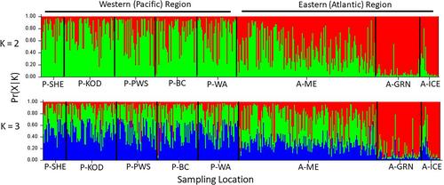 A phylogeographical study of the discontinuously distributed Harlequin Duck (Histrionicus histrionicus)