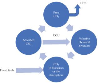 Catalytic Hydrogenation of Carbon Dioxide as a Method to Produce Valuable Chemicals