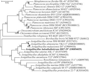 Jeotgalibacillus haloalkalitolerans sp. nov., a novel alkalitolerant and halotolerant bacterium, isolated from the confluence of the Fenhe River and the Yellow River