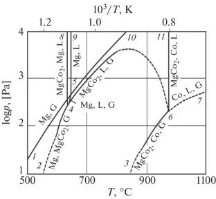 p–T–x State Diagram of the Co–Mg System