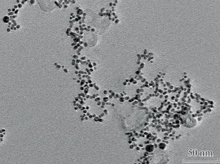 Binary Proton Therapy of Ehrlich Carcinoma Using Targeted Gold Nanoparticles