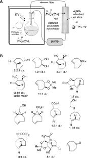 Advances in the Synthesis of Bioorthogonal Reagents: s-Tetrazines, 1,2,4-Triazines, Cyclooctynes, Heterocycloheptynes, and trans-Cyclooctenes