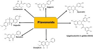 Role of natural secondary metabolites as HIF-1 inhibitors in cancer therapy