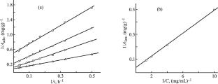 Kinetic Relationships of the Adsorption of Lysozyme and Bovine Serum Albumin onto Zeolites of BEA and MFI Structural Types