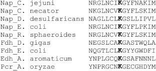 The critical role of a conserved lysine residue in periplasmic nitrate reductase catalyzed reactions