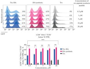 Antigenic Peptide-Thioredoxin Fusion Chimeras for In Vitro Stimulus of CD4+ TCR+ Jurkat T Cells