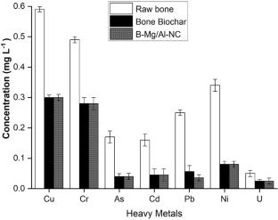 Facile and environmentally sustainable synthesis of bone waste derived biochar-based bimetallic-LDH nanocomposite for selected dyes removal from aqueous medium