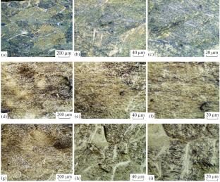 Effect of Heat Treatment on the Structure and Mechanical Properties of Ti–10Nb–(1–3)Mo Alloys