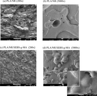 Recent development of poly (lactic acid) blends with a thermoplastic elastomer compatibilised for fused deposition modelling (FDM) 3D printing