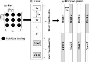 Different responses of herbivore abundance to plant genotypic diversity depending on herbivore host specificity