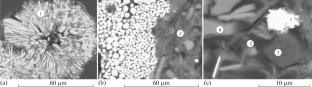 REE Distribution in the Water and Bottom Sediments of Small Lakes within the Ukok Plateau and the Ulagan Depression (Russian Altai)